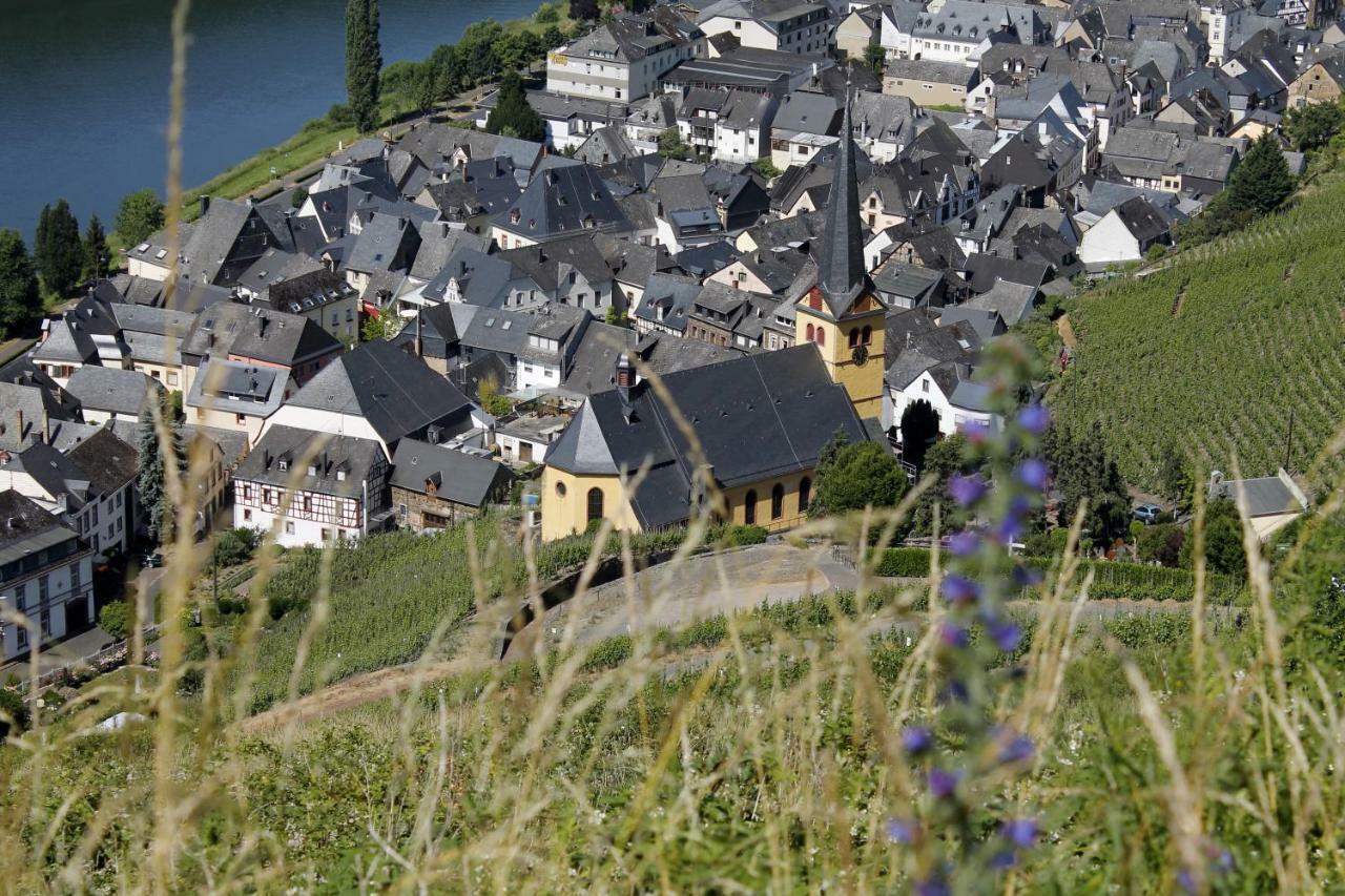 Ferienhaus Moselblick Mit Kostenfreien Oepnv-Ticket Ирциг Экстерьер фото